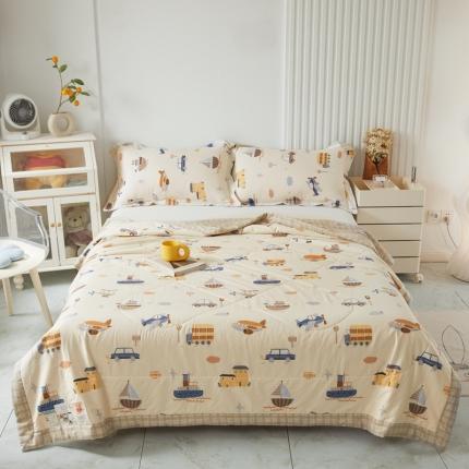 2023里外100%纯棉印花新疆棉花夏被单人棉花被可机洗 汽车乐园-米