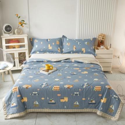 2023里外100%纯棉印花新疆棉花夏被单人棉花被可机洗 汽车乐园-兰