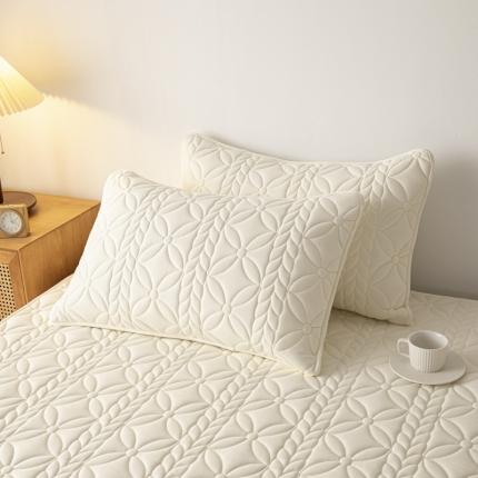 91家纺网 家纺一手货源 找家纺 芬晴 2023新款A类母婴级防水大豆夹棉枕套一对叶语 米白