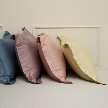 (总) ellehomme 2023新款100S长绒棉单品系列-枕套