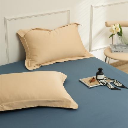 91家纺网 家纺一手货源 找家纺 (总) 新款100S长绒棉单品系列-枕套