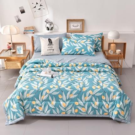 91家纺网 家纺一手货源 找家纺 圣楚 2024年新款简约时尚单夏被空调被夏凉被直播供货-好桔意