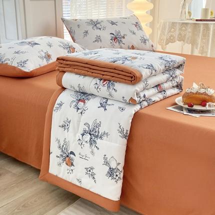 91家纺网 家纺一手货源 找家纺 （总）好欣怡 2024新款水洗棉麻双层纱大豆夏被四件套直播爆款