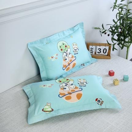 91家纺网 家纺一手货源 找家纺 （总）瑞莉安 2023新款全棉儿童枕套枕芯