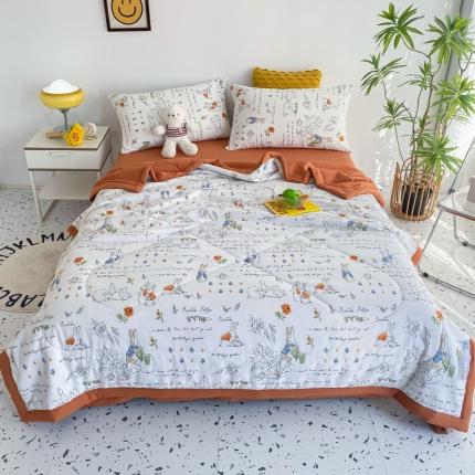 91家纺网 家纺一手货源 找家纺 （总）瑜珠 2025新款A类水洗棉麻双层纱夏凉被空调被子被芯夏被