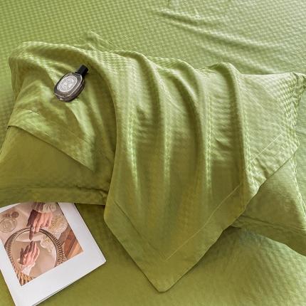 涵宸 2023新款提花尼克罗系列单枕套 提花单枕套-富贵绿