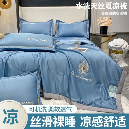 91家纺网 家纺一手货源 找家纺 苏米娜2023A类水洗天丝真丝刺绣凉感夏被四件套双层纱水洗棉麻棉花夏被 居里夫人--奶油粉