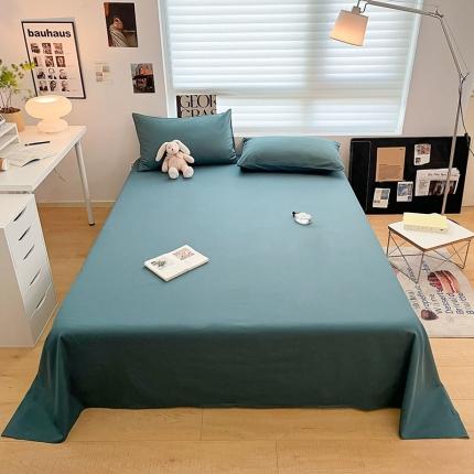 莱登卡奴 2023新款全棉纯色单品床单枕套系列 床单-浅石兰