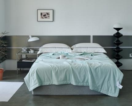 91家纺网 家纺一手货源 找家纺 (总)榻尚 2023新款100支贡缎长绒棉超柔夏被空调被子被芯