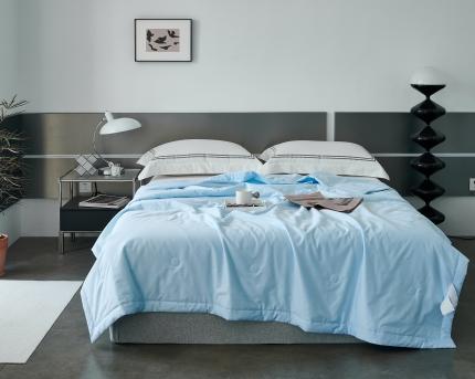 91家纺网 家纺一手货源 找家纺 (总)榻尚 2023新款100支贡缎长绒棉超柔夏被空调被子被芯