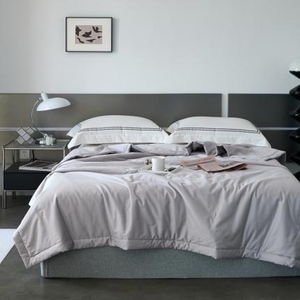 榻尚 2023新款100支贡缎长绒棉超柔夏被空调被子被芯 大象灰