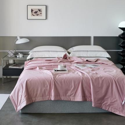 榻尚 2023新款100支贡缎长绒棉超柔夏被空调被子被芯 豆沙紫