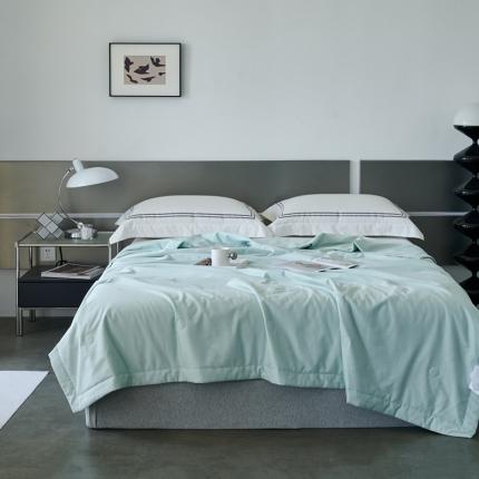 榻尚 2023新款100支贡缎长绒棉超柔夏被空调被子被芯 涟漪绿