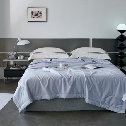 榻尚 2023新款100支贡缎长绒棉超柔夏被空调被子被芯 天青色