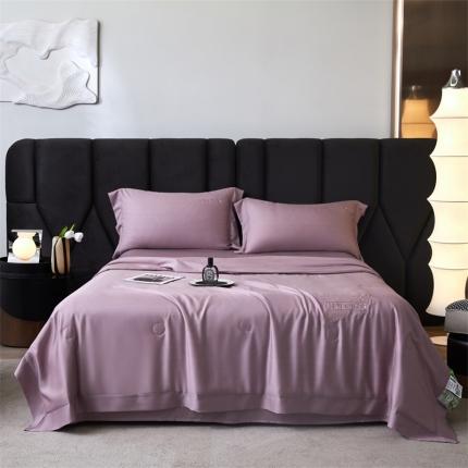 91家纺网 家纺一手货源 找家纺 头等舱森氧丝A类莱赛尔55%大豆抗菌夏被（迹风系列风格1) 迹风千黛紫