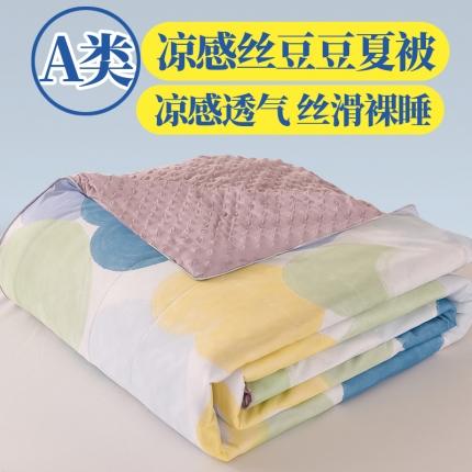91家纺网 家纺一手货源 找家纺 （总）经年 2023新款A类凉感丝豆豆夏被