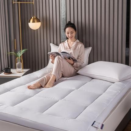 91家纺网 家纺一手货源 找家纺 （总）壹张床2025新款亲肤磨毛羽丝绒软垫家用垫学生宿舍单人床垫褥被