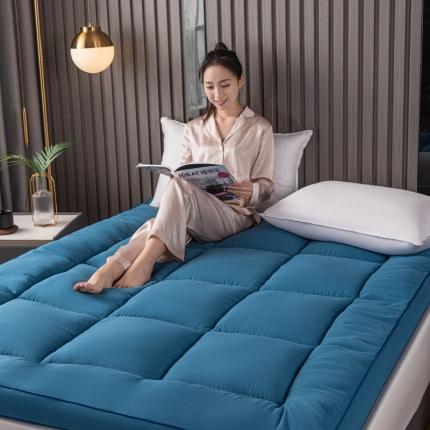 91家纺网 家纺一手货源 找家纺 壹张床2025新款亲肤磨毛羽丝绒软垫家用垫学生宿舍单人床垫褥被 蓝色