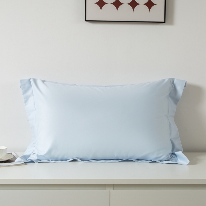 91家纺网 家纺一手货源 找家纺 （总）好阁家纺2023新款100支全棉枕套