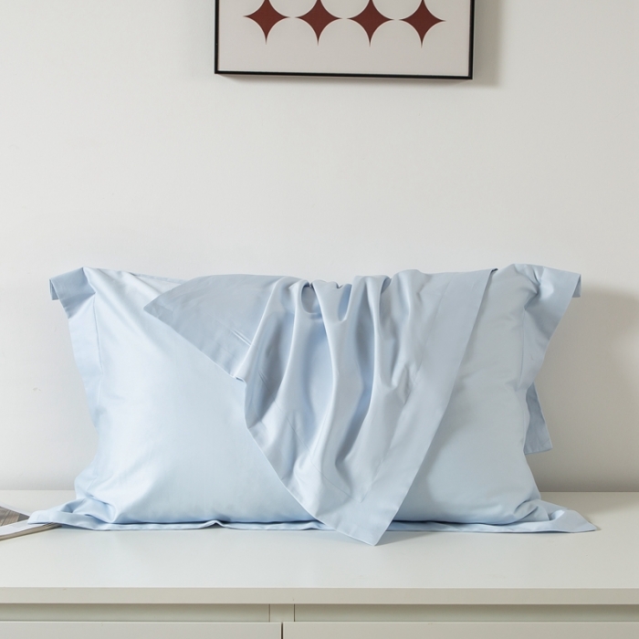 91家纺网 家纺一手货源 找家纺 好阁家纺2023新款100支全棉枕套 空镜蓝