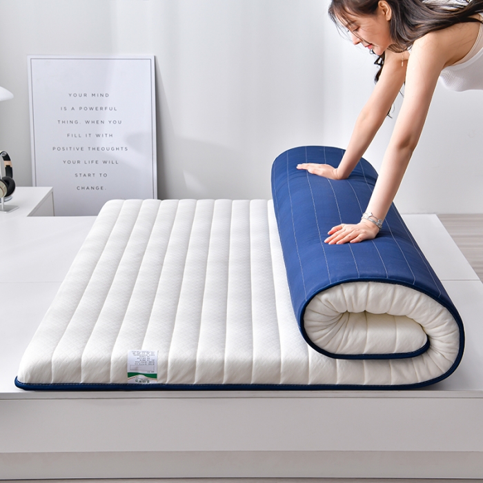 91家纺网 家纺一手货源 找家纺 （总）亿丁点 2023新款单边针织棉乳胶记忆棉床垫