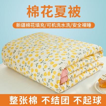 梦初语 2023新款水洗棉棉花夏被 清新派