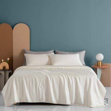 91家纺网 家纺一手货源 找家纺 总 安力森/诚臻酒店用品 酒店2023新款A类抗菌夏被-薄荷清香