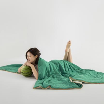 91家纺网 家纺一手货源 找家纺 佳居缘 2023新款A类冰川凉感瓜瓜被（锦氨） 豆蔻绿