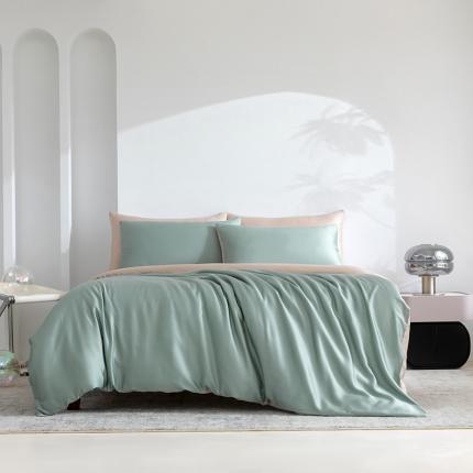 轩和新款100支纯色天丝四件套单品被套床单床笠枕套系列 春熙绿+铂光金