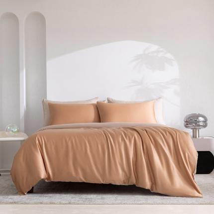 91家纺网 家纺一手货源 找家纺 轩和新款50支纯色天丝四件套单品被套床单床笠枕套系列 拿铁咖+铂光金