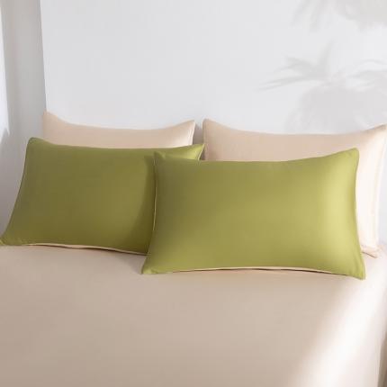（总）轩和 2024新款100支纯色天丝单品枕套