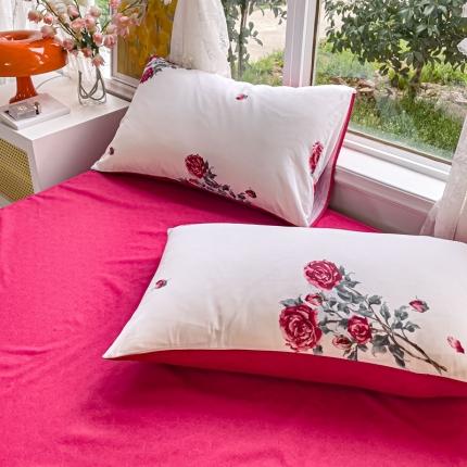 91家纺网 家纺一手货源 找家纺 （总）金丝鸟 2023新款全棉斜纹13370枕套