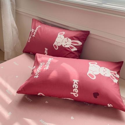 91家纺网 家纺一手货源 找家纺 （总）金丝鸟 2023新款全棉斜纹13370枕套