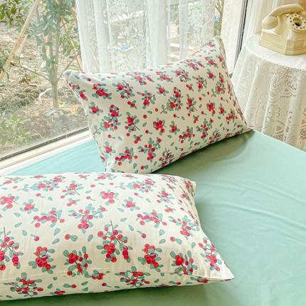 91家纺网 家纺一手货源 找家纺 （总）金丝鸟 2023新款全棉斜纹13370枕套