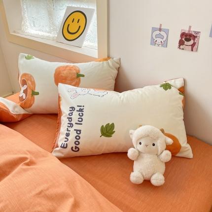 91家纺网 家纺一手货源 找家纺 （总）金丝鸟 2023新款全棉斜纹13370枕套