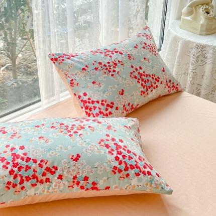 金丝鸟 2023新款全棉斜纹13370枕套 情怀