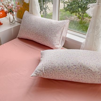 金丝鸟 2023新款全棉斜纹13370枕套 雾暖