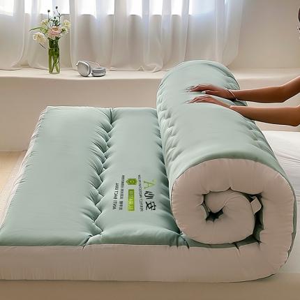 91家纺网 家纺一手货源 找家纺 灰鲸 2025新款 A类母婴级立体抗菌床垫 星级酒店床垫-水绿