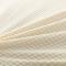 91家纺网 家纺一手货源 找家纺 飞翔 2023新款防泼水玉米绒沙发垫套 米白色