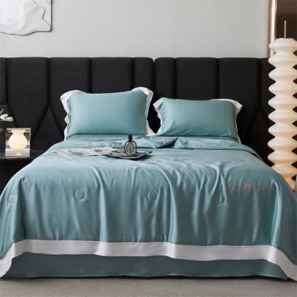 91家纺网 家纺一手货源 找家纺 总头等舱2023奥地利A类兰精天丝60SLF55%植物大豆抗菌夏被