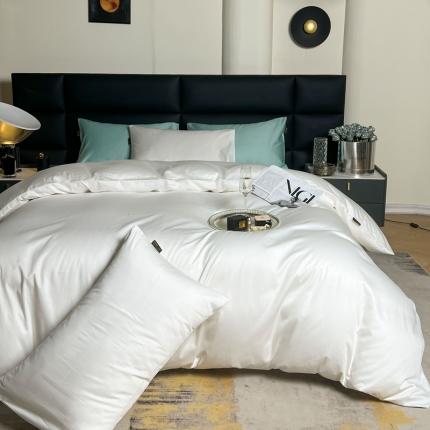 莱阁亿 2023新款高支高密新疆长绒棉四件套 柳絮白