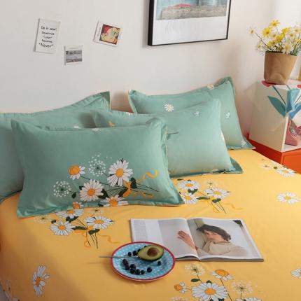 91家纺网 家纺一手货源 找家纺 （总）赫然家纺 芦荟棉单品枕套一对48*74