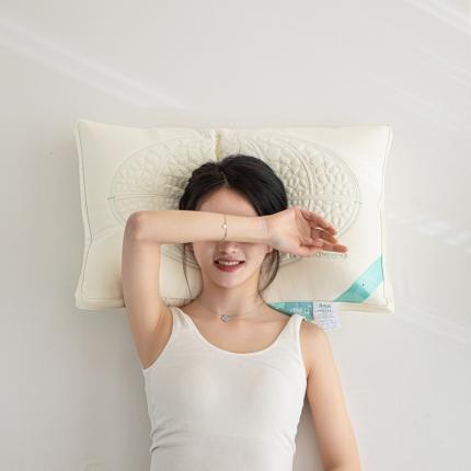 91家纺网 家纺一手货源 找家纺 麦肯锡2023新款凉呱呱超柔舒感枕 风格一48*74cm
