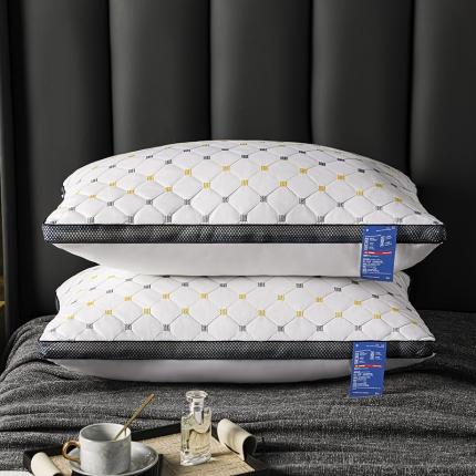 拾光 2023新款 亲肤磨毛宽边绗绣枕芯满天星立体-中枕700克