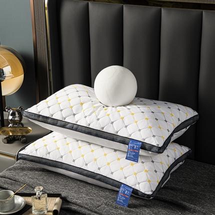 91家纺网 家纺一手货源 找家纺 拾光 2023新款 亲肤磨毛宽边绗绣枕芯满天星立体-高枕800克