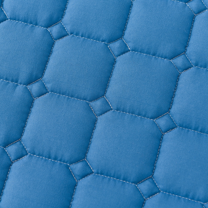 91家纺网 家纺一手货源 找家纺 恋绒家纺 A类原棉抗菌床垫加厚软垫床宿舍褥子单人双人学生垫四季可用 远山蓝