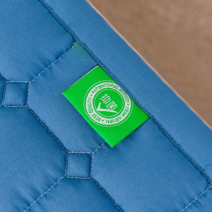 91家纺网 家纺一手货源 找家纺 恋绒家纺 A类原棉抗菌床垫加厚软垫床宿舍褥子单人双人学生垫四季可用 远山蓝