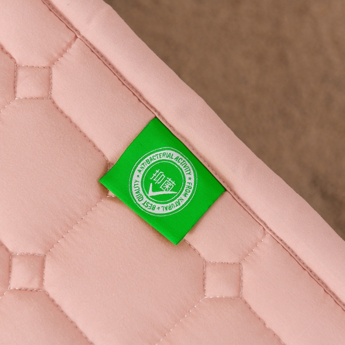 91家纺网 家纺一手货源 找家纺 恋绒家纺 A类原棉抗菌床垫加厚软垫床宿舍褥子单人双人学生垫四季可用 珍珠玉