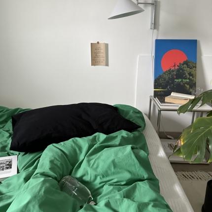 91家纺网 家纺一手货源 找家纺 （总）恋恋三季 2024新款32支染色水洗棉单被套