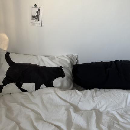 91家纺网 家纺一手货源 找家纺 （总）恋恋三季 2024新款32支染色水洗棉单被套